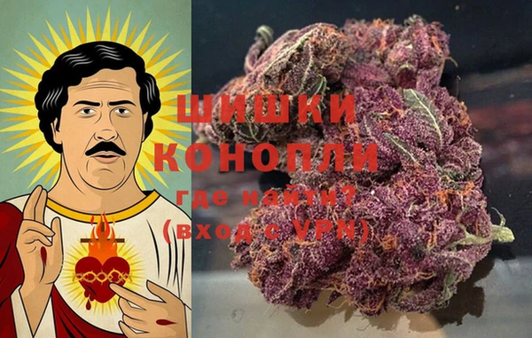 твердый Няндома