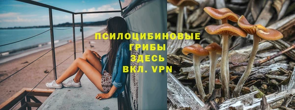 твердый Няндома