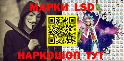 2c-b Камышлов