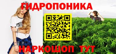 2c-b Камышлов